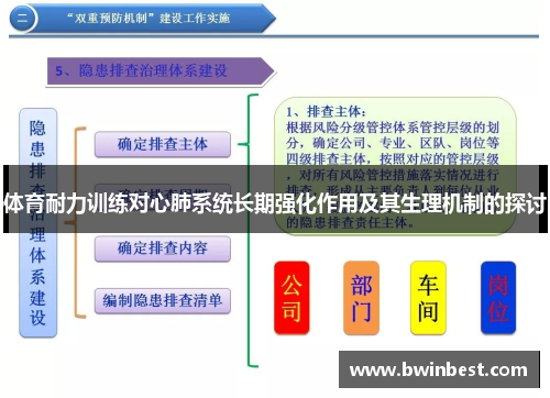 体育耐力训练对心肺系统长期强化作用及其生理机制的探讨