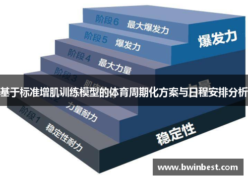 基于标准增肌训练模型的体育周期化方案与日程安排分析