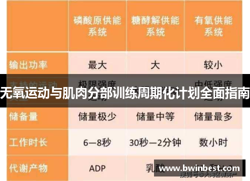 无氧运动与肌肉分部训练周期化计划全面指南